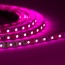 LEX50 banda LED 60L 12V 14 4W IP20 RGB