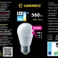 Bec LED LUMINECO PRO 3DIM G45 7W E27 6500K