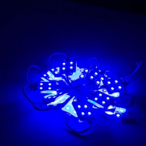 LED PVC module LM5002 4L 12V 1 06W IP65 albastru