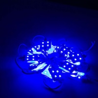LED PVC module LM5002 4L 12V 1 06W IP65 albastru