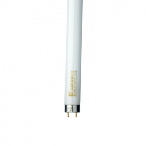 LE T8 36W 6500K 2400Lm Standard tub fluorescent