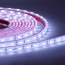 LEX35 banda LED 60L 12V 4 8W 240Lm m 6000K IP67