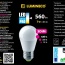 Bec LED LUMINECO PRO 3DIM G45 7W E27 4000K